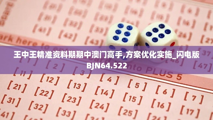 王中王精准资料期期中澳门高手,方案优化实施_闪电版BJN64.522