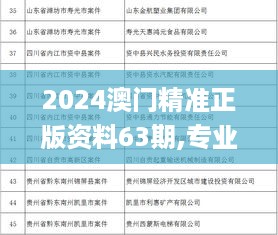 2024澳门精准正版资料63期,专业调查具体解析_经典版SJK19.968