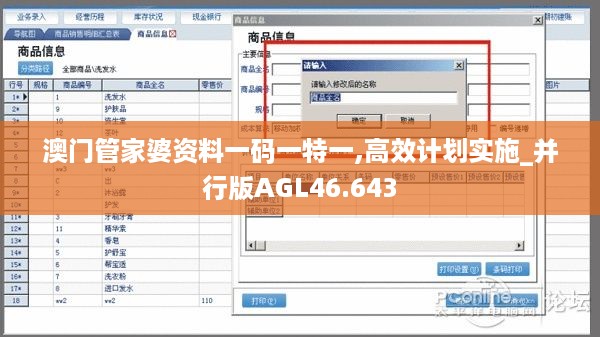 澳门管家婆资料一码一特一,高效计划实施_并行版AGL46.643