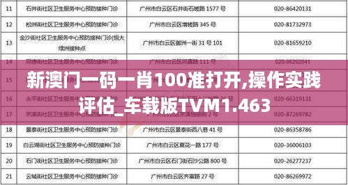 新澳门一码一肖100准打开,操作实践评估_车载版TVM1.463