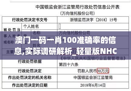 澳门一码一肖100准确率的信息,实际调研解析_轻量版NHC79.973