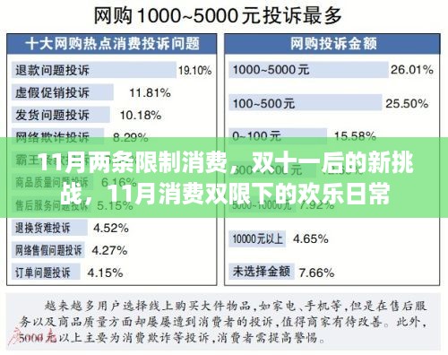 双十一后的新挑战，11月消费双限下的欢乐日常