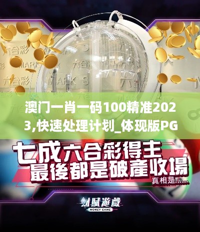 澳门一肖一码100精准2023,快速处理计划_体现版PGI90.768