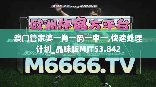 澳门管家婆一肖一码一中一,快速处理计划_品味版MJT53.842