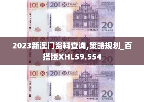 2023新澳门资料查询,策略规划_百搭版XHL59.554