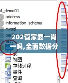 202管家婆一肖一吗,全面数据分析_DIY工具版MDS88.730