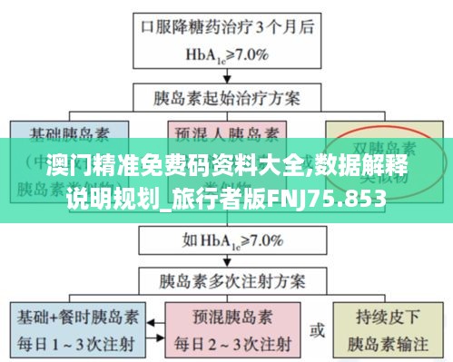 澳门精准免费码资料大全,数据解释说明规划_旅行者版FNJ75.853