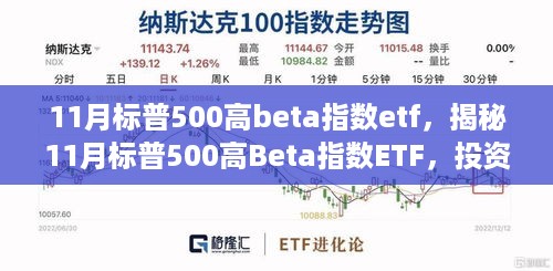 揭秘，11月标普500高Beta指数ETF的投资新动向与策略洞察