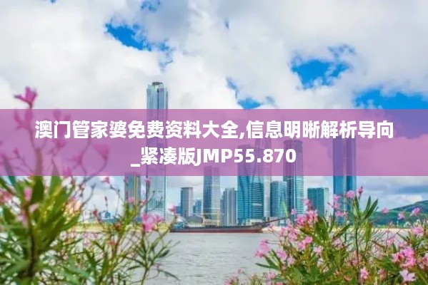 澳门管家婆免费资料大全,信息明晰解析导向_紧凑版JMP55.870