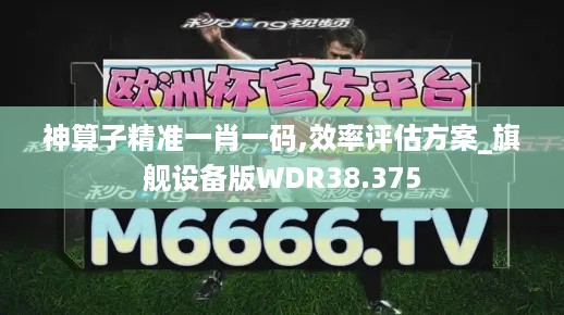 神算子精准一肖一码,效率评估方案_旗舰设备版WDR38.375