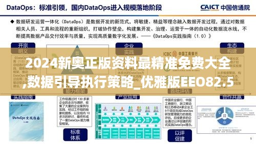 2024新奥正版资料最精准免费大全,数据引导执行策略_优雅版EEO82.578