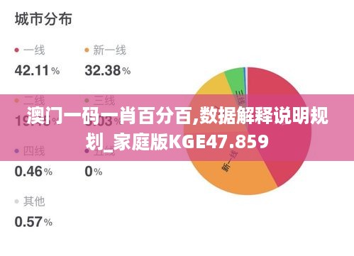 澳门一码一肖百分百,数据解释说明规划_家庭版KGE47.859