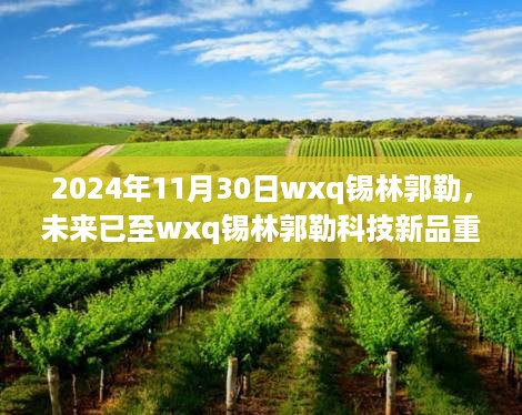 未来已至，wxq锡林郭勒科技新品重磅发布，体验未来生活的无限可能