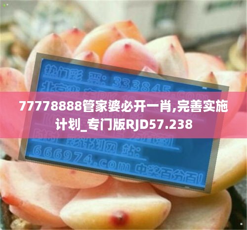 77778888管家婆必开一肖,完善实施计划_专门版RJD57.238