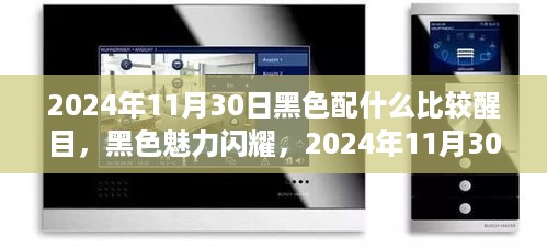 2024年11月30日黑色魅力闪耀，搭配秘籍与独特韵味瞩目