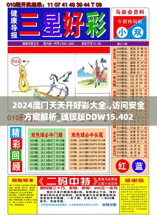 2024澳门天天开好彩大全.,访问安全方案解析_魂银版DDW15.402