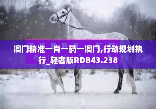 澳门精准一肖一码一澳门,行动规划执行_轻奢版RDB43.238