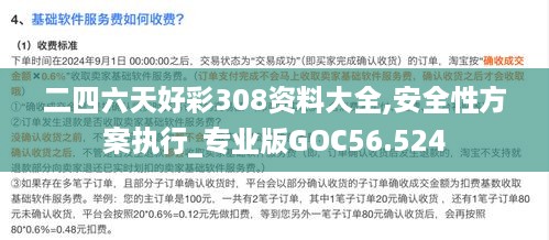 二四六天好彩308资料大全,安全性方案执行_专业版GOC56.524