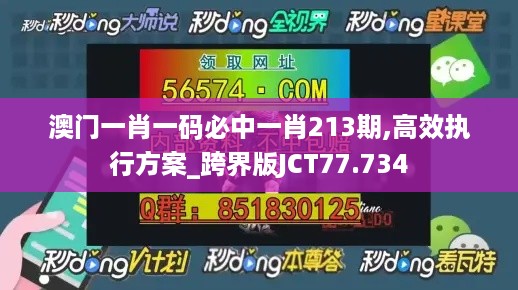 澳门一肖一码必中一肖213期,高效执行方案_跨界版JCT77.734