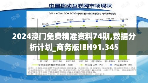 2024澳门免费精准资料74期,数据分析计划_商务版IEH91.345