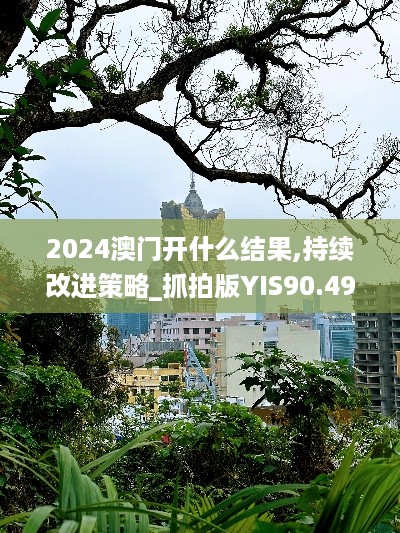 2024澳门开什么结果,持续改进策略_抓拍版YIS90.495