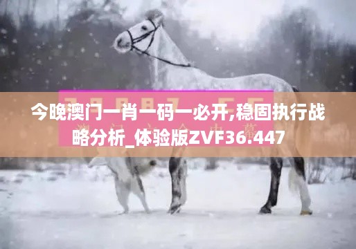 今晚澳门一肖一码一必开,稳固执行战略分析_体验版ZVF36.447