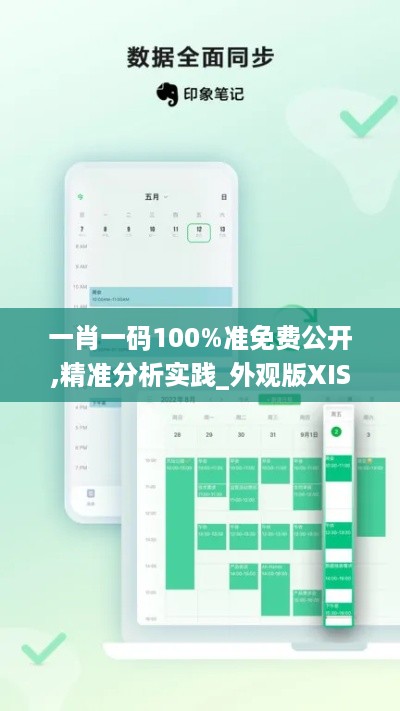 一肖一码100%准免费公开,精准分析实践_外观版XIS24.900