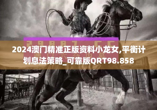 2024澳门精准正版资料小龙女,平衡计划息法策略_可靠版QRT98.858