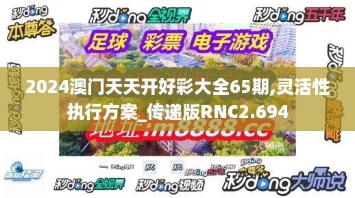 2024澳门天天开好彩大全65期,灵活性执行方案_传递版RNC2.694