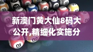 新澳门黄大仙8码大公开,精细化实施分析_商务版QNY19.643