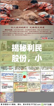 揭秘利民股份，小巷深处的隐藏宝藏与股市背后的故事