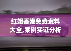 红姐香港免费资料大全,案例实证分析_艺术版BRZ54.768