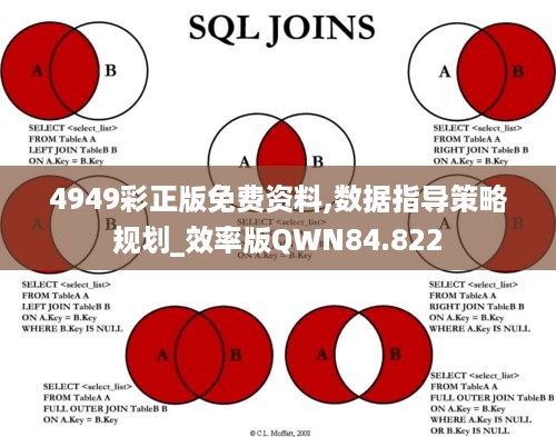 4949彩正版免费资料,数据指导策略规划_效率版QWN84.822