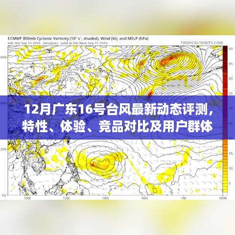 广东台风动态评测，特性、体验、竞品对比与用户群体分析——12月16号最新报告