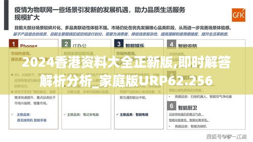 2024香港资料大全正新版,即时解答解析分析_家庭版URP62.256