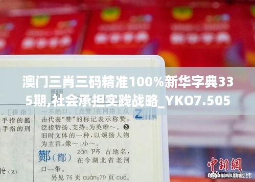 澳门三肖三码精准100%新华字典335期,社会承担实践战略_YKO7.505交互版