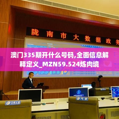 澳门335期开什么号码,全面信息解释定义_MZN59.524炼肉境