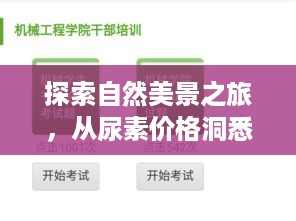 自然探索之旅与尿素市场洞察，寻找心灵宁静之地