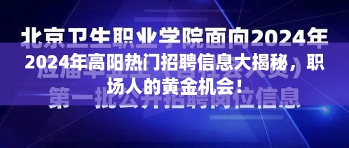 2024年高阳热门招聘信息全解析，职场黄金机会来袭！