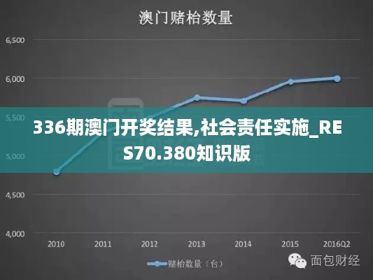 336期澳门开奖结果,社会责任实施_RES70.380知识版