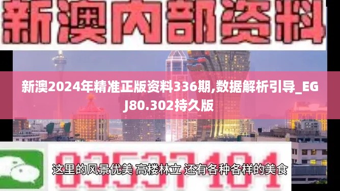 新澳2024年精准正版资料336期,数据解析引导_EGJ80.302持久版