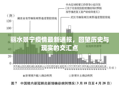 丽水景宁疫情最新通报，历史与现实的交汇点审视