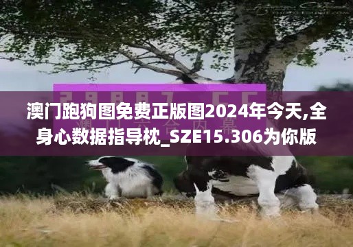 澳门跑狗图免费正版图2024年今天,全身心数据指导枕_SZE15.306为你版