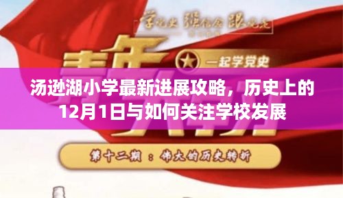 汤逊湖小学最新进展攻略，学校发展历史、今日关注及12月1日重要事件回顾