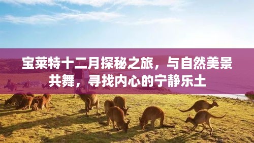 宝莱特十二月探秘之旅，与自然共舞，寻找内心宁静乐土