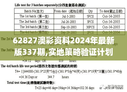 62827澳彩资料2024年最新版337期,实地策略验证计划_Advanced32.924-6