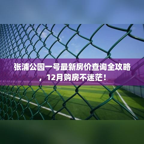 张浦公园一号房价查询全攻略，最新房价信息，助你12月购房不迷茫！