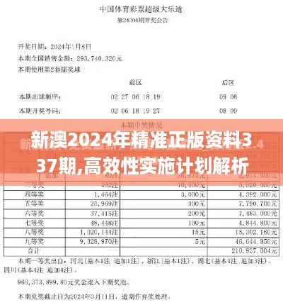 新澳2024年精准正版资料337期,高效性实施计划解析_yShop33.529-8