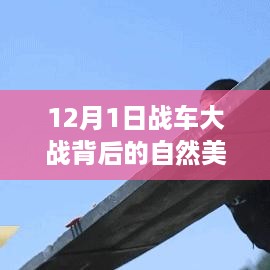 2024年12月2日 第13页