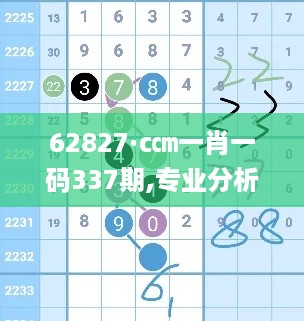 62827·c㎝一肖一码337期,专业分析说明_2DM61.227-6